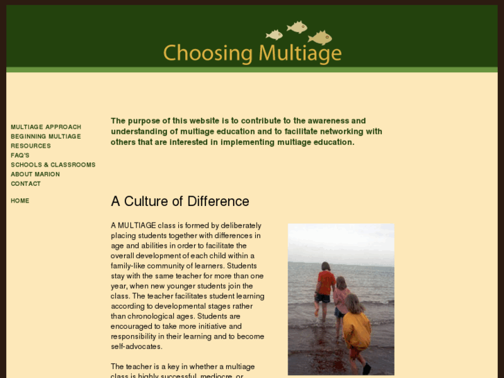 www.choosingmultiage.com