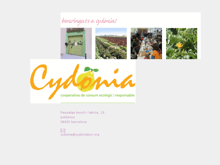 www.cydoniabcn.org