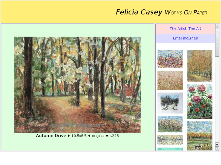 www.feliciacasey.com