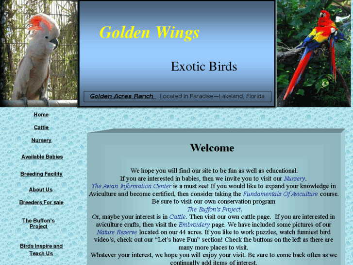 www.goldenwingsbirds.com