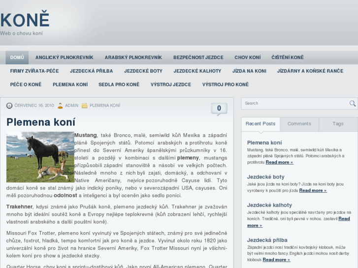 www.kone-web.cz