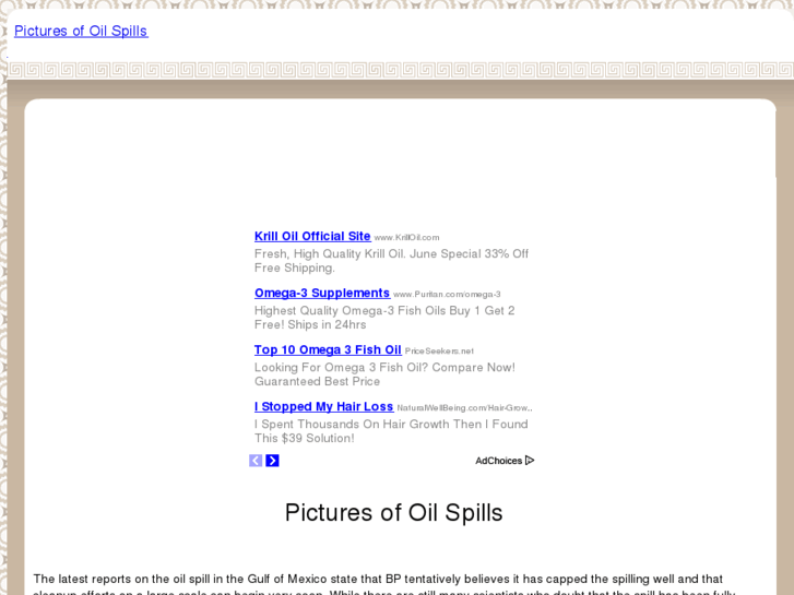 www.picturesofoilspills.com