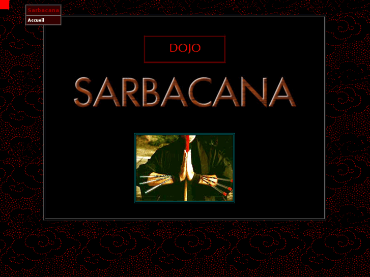 www.sarbacane.org