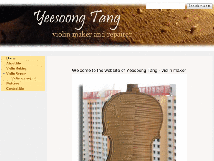 www.yeesoongviolinmaker.com