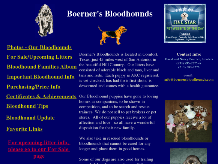 www.boernersbloodhounds.com