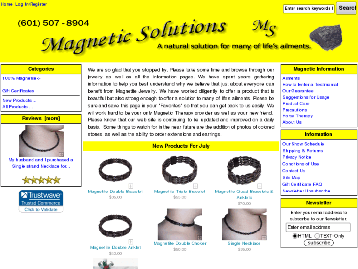 www.emagneticsolutions.com