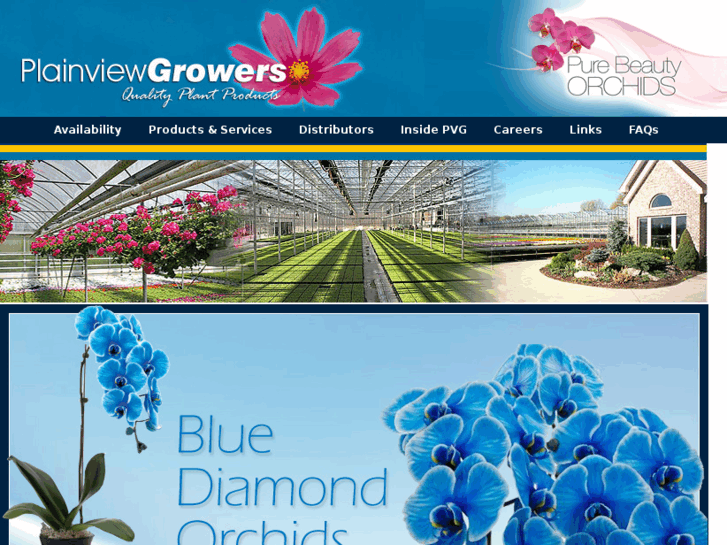 www.plainviewgrowers.com