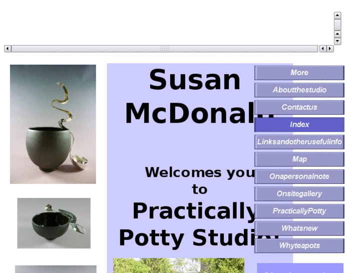 www.practicallypotty.com