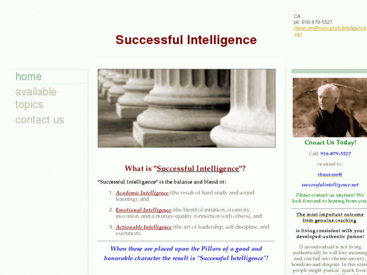 www.successfulintelligence.net