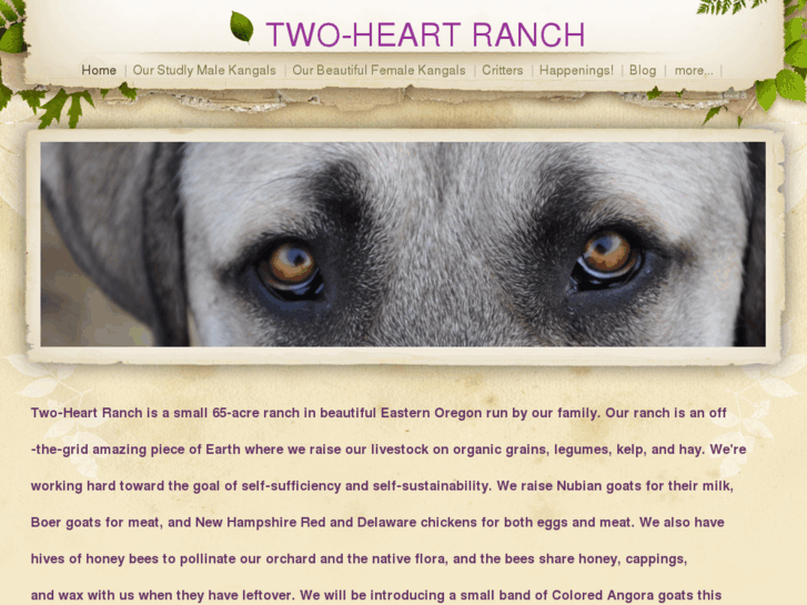 www.twoheartranch.com