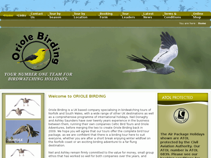 www.celticbirdtours.com