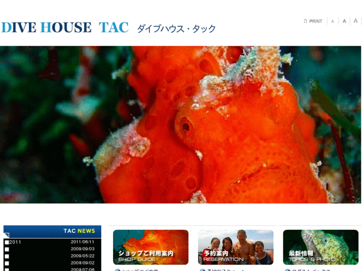 www.divehouse-tac.com