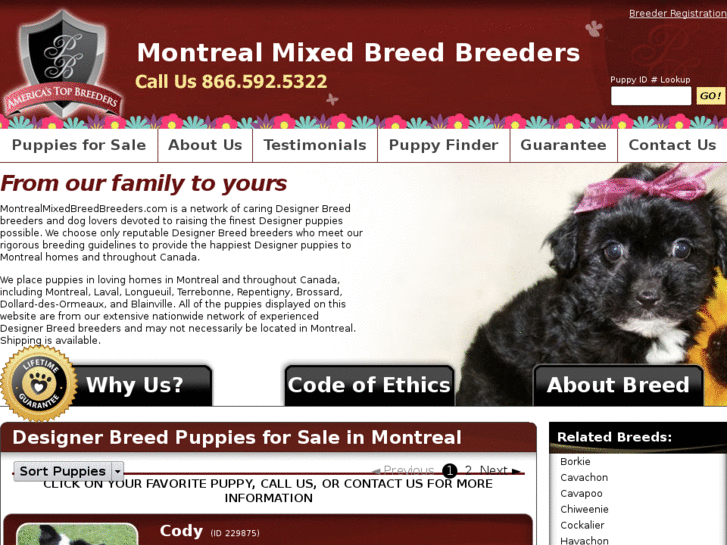 www.montrealmixedbreedbreeders.com