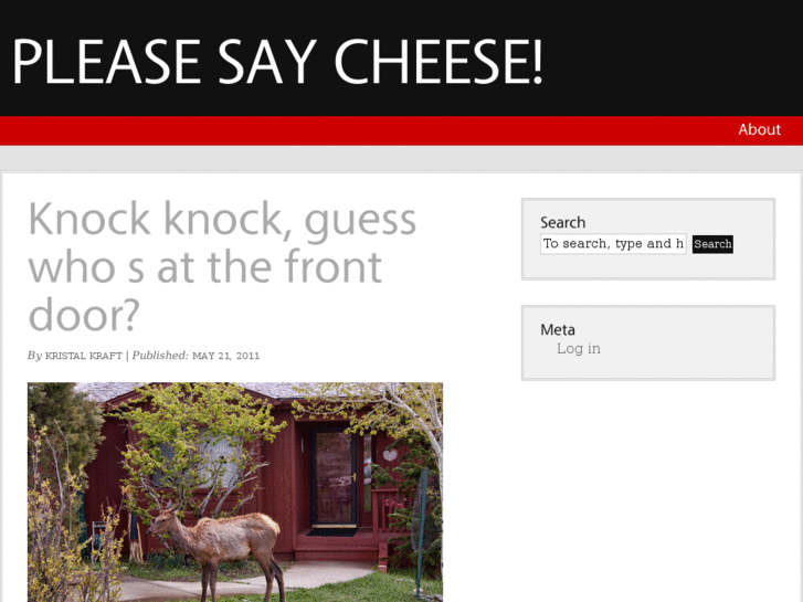 www.pleasesaycheese.com