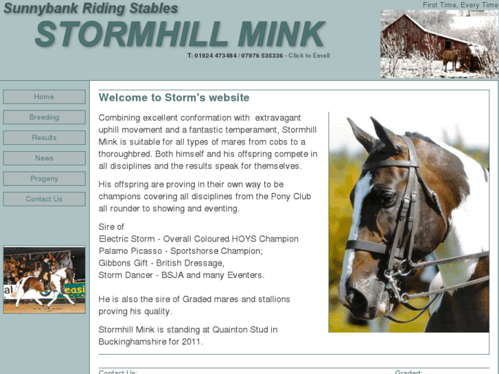 www.stormhillmink.co.uk