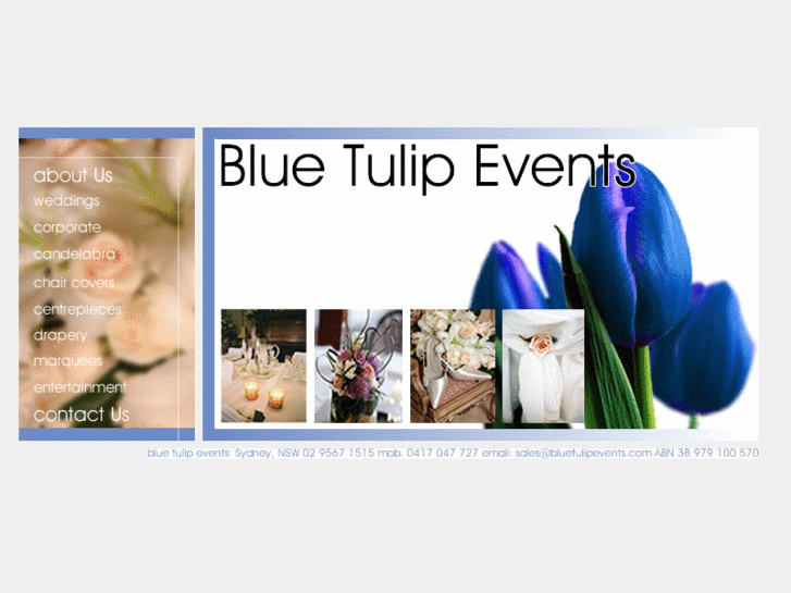 www.bluetulipevents.com