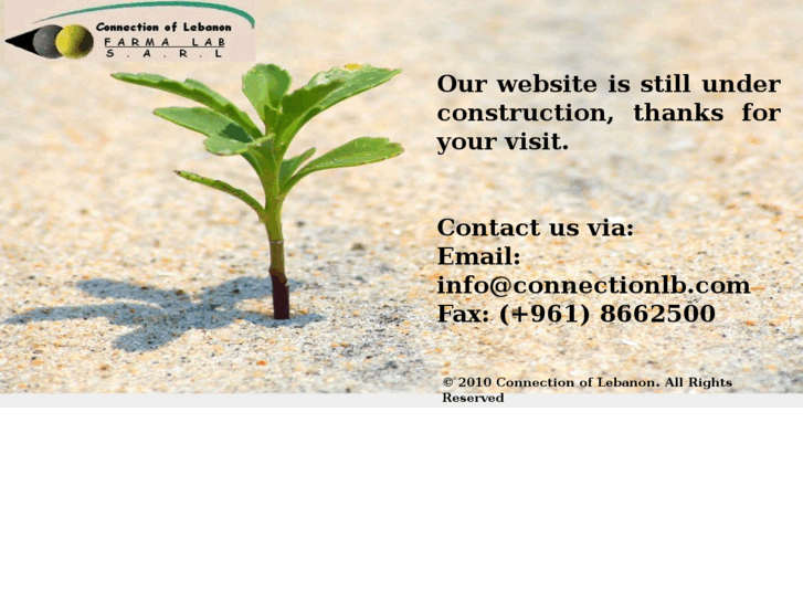 www.connectionlb.net