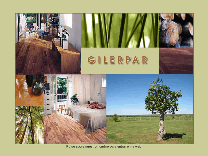 www.gilerpar.com