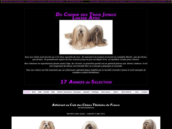 www.lhassa-apso.info