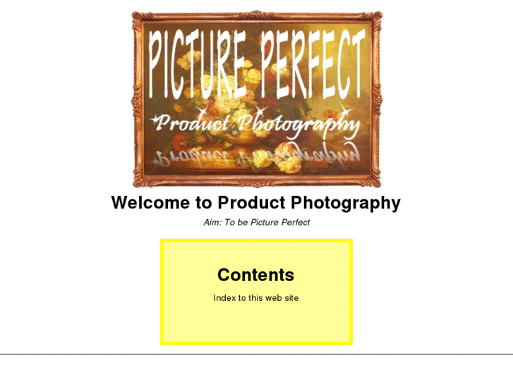 www.picture-perfect-product-photography.com