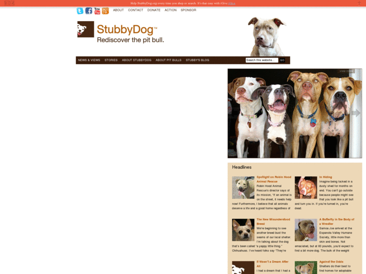 www.stubbydog.org