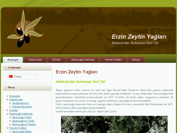 www.zeytinyaglari.com