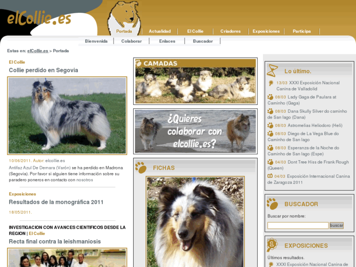 www.elcollie.es