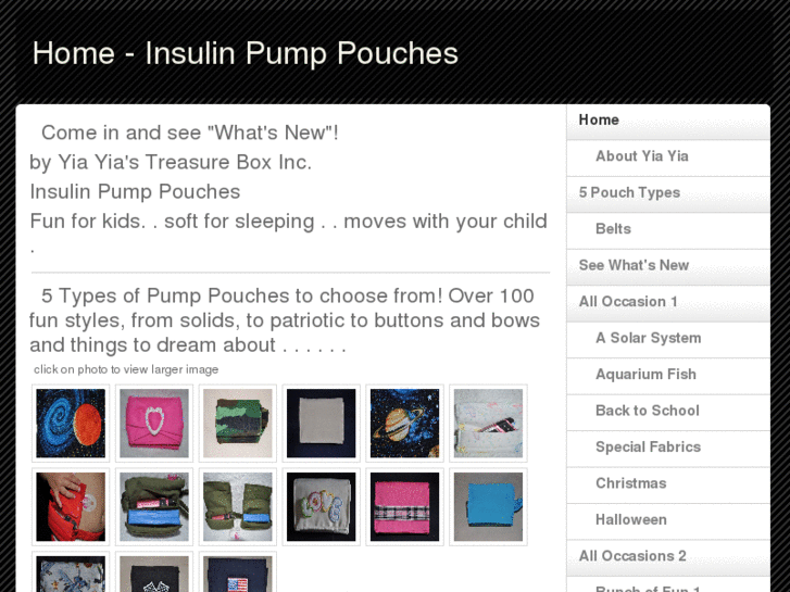 www.insulinpumppouches.com