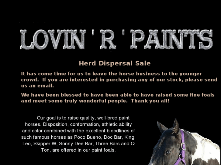 www.lovinrpainthorses.com