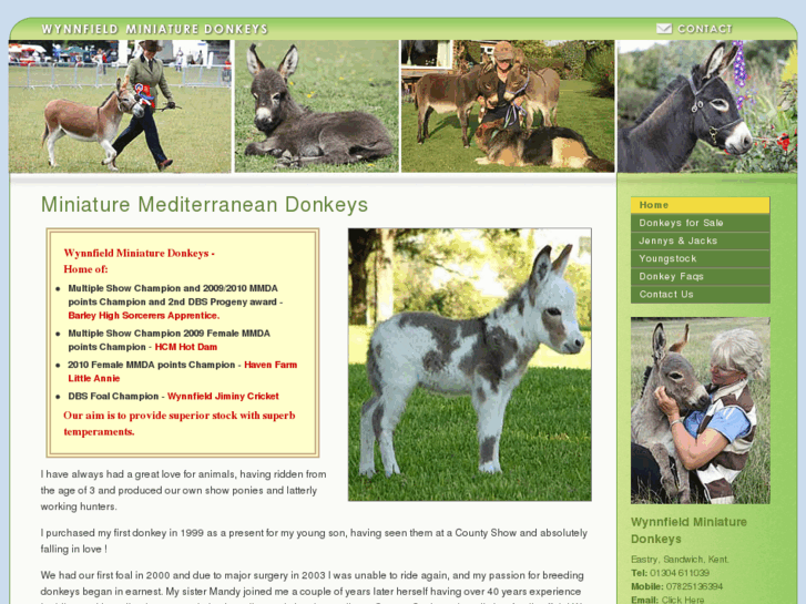 www.miniature-donkey.co.uk