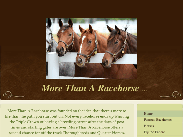 www.morethanaracehorse.com