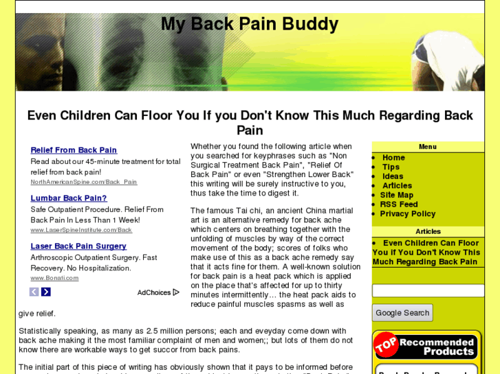 www.mybackpainbuddy.com