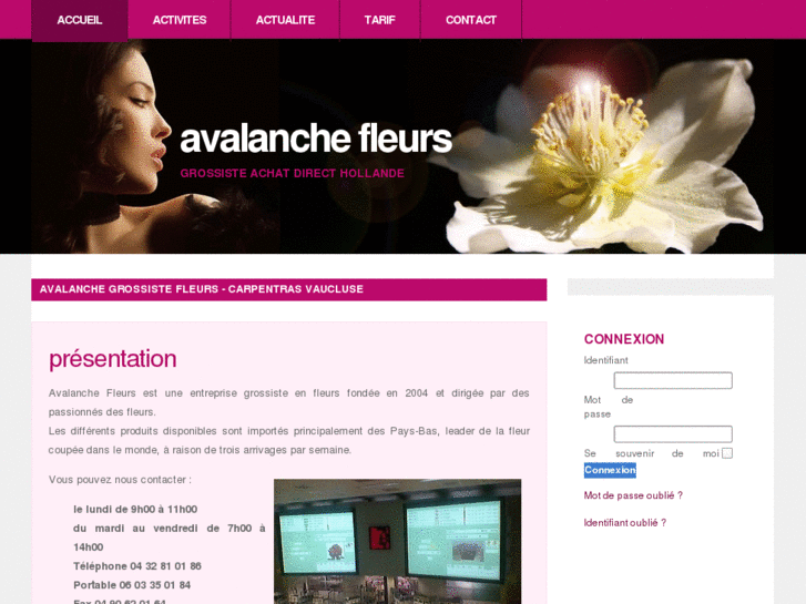 www.avalanchefleurs.com