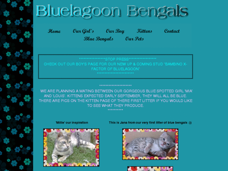 www.bluelagoonbengals.com