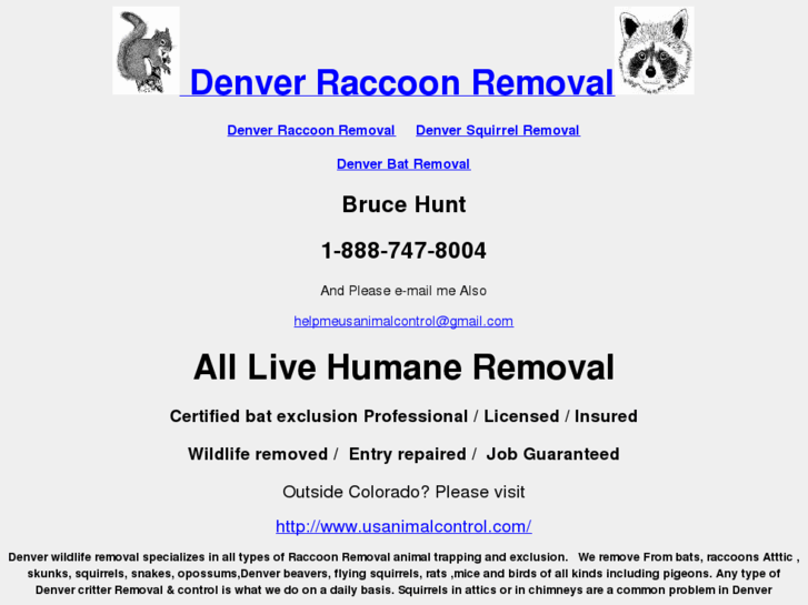 www.denverraccoonremovalattic.org