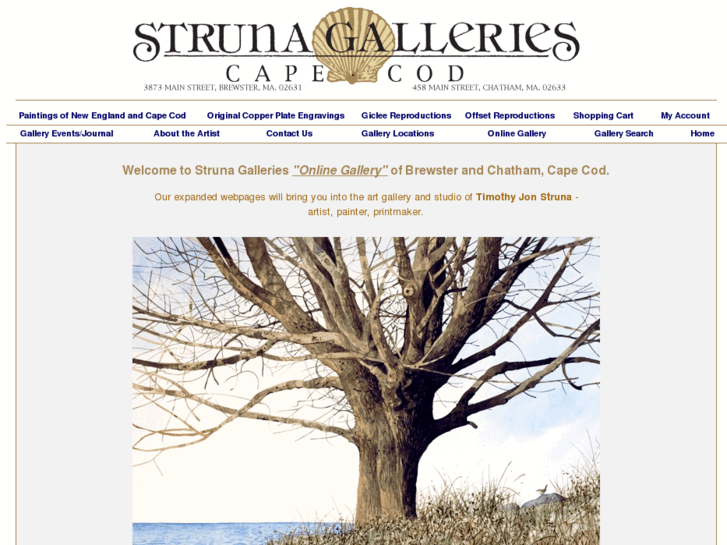 www.strunagalleries.com