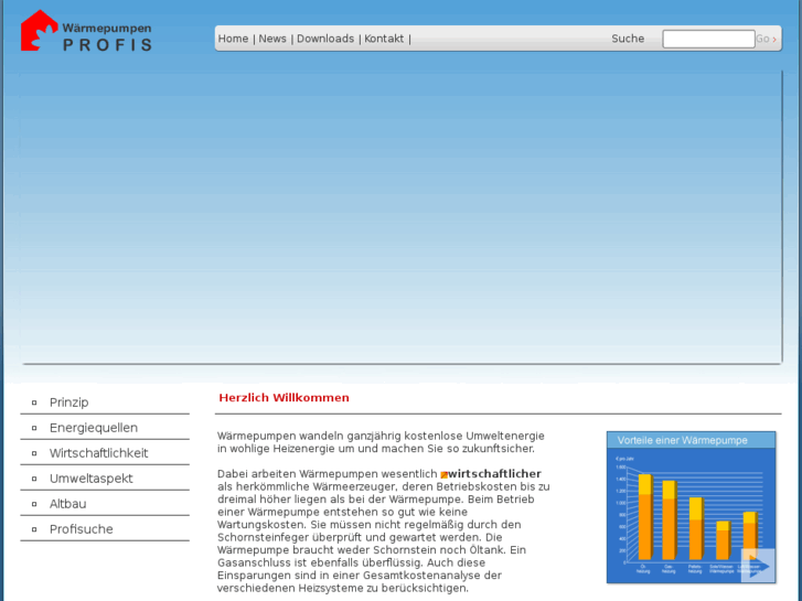www.xn--die-wrmepumpenprofis-fzb.com