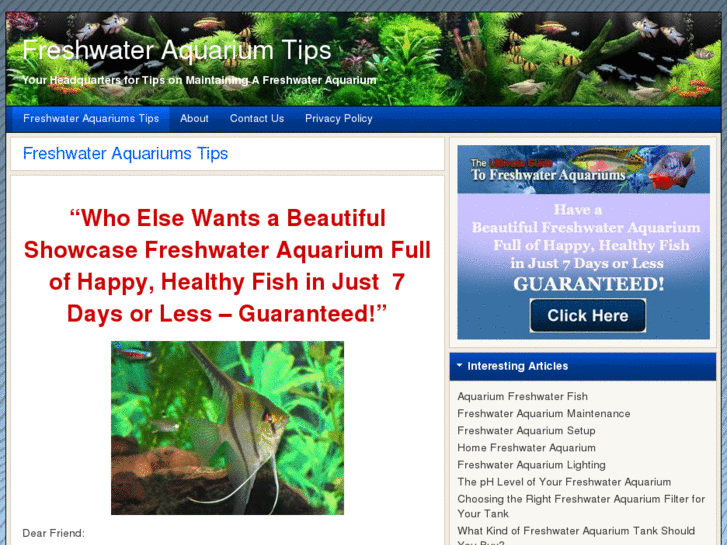 www.freshwateraquariumstips.com