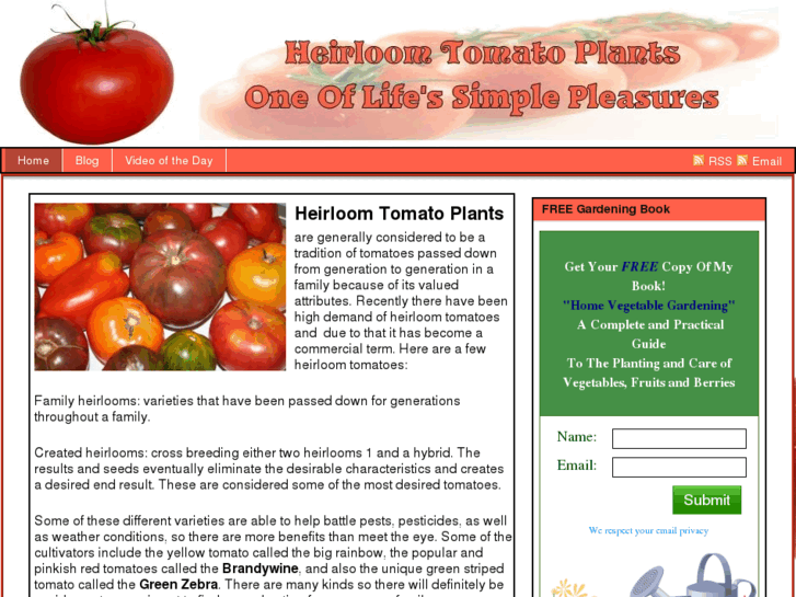 www.heirloomtomatoplants.org