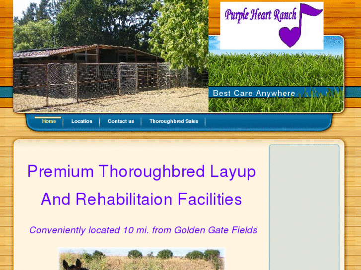 www.purpleheartlayups.com