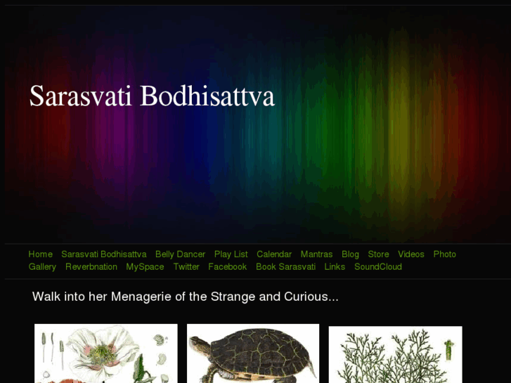 www.sarasvatibodhisattva.com