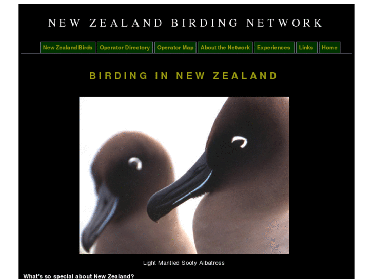 www.birdingnz.co.nz