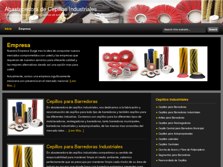 www.cepillosindustrialesgdl.com