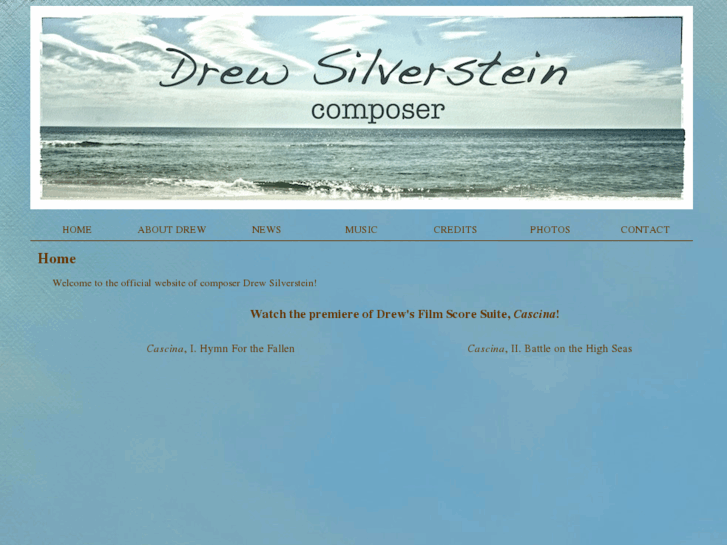 www.drewsilverstein.com