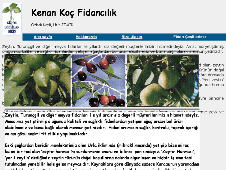 www.kenankocfidancilik.com