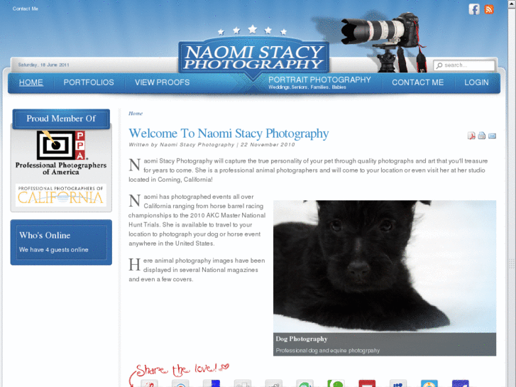 www.naomistacyphotography.com