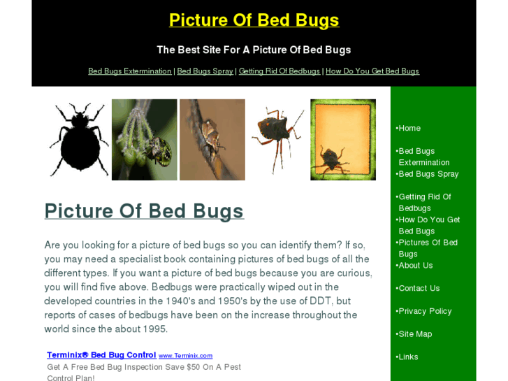 www.pictureofbedbugs.com