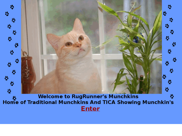 www.themunchkinrugrunners.com