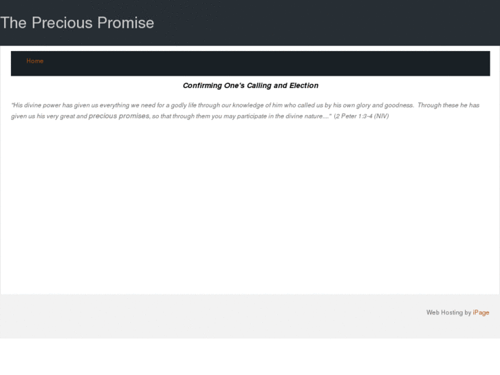 www.thepreciouspromise.com