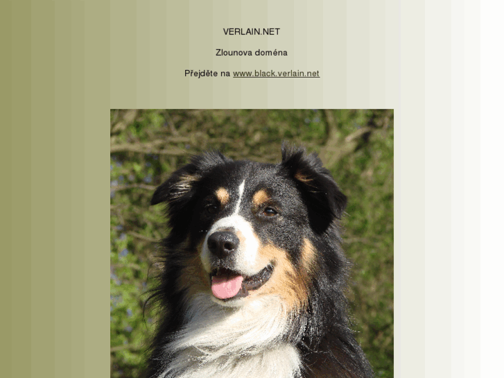 www.verlain.net